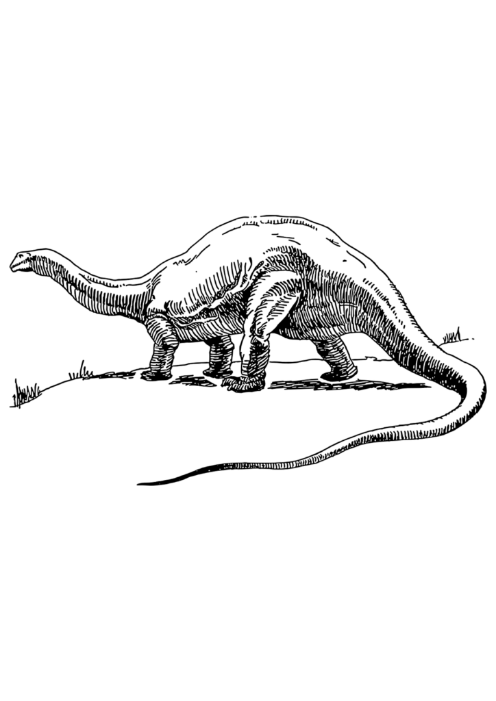 Ausmalbild Brontosaurus 2