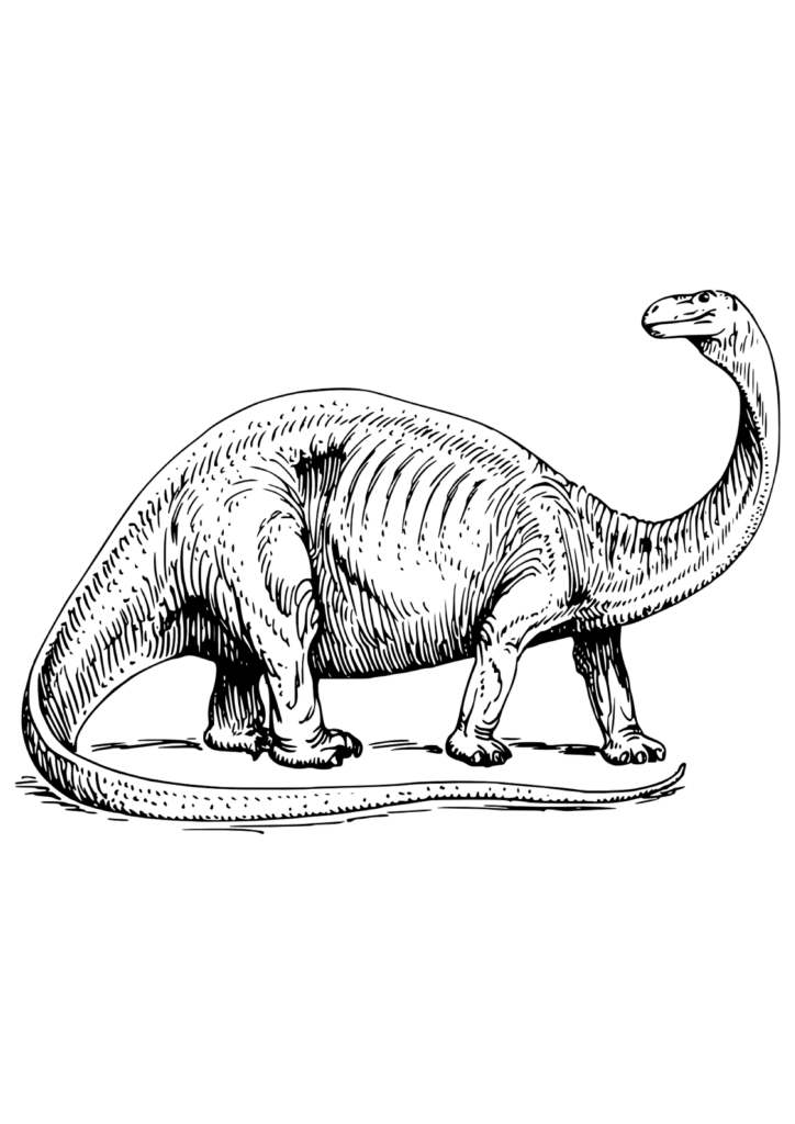 Malvorlage Brontosaurus Dinosaurier