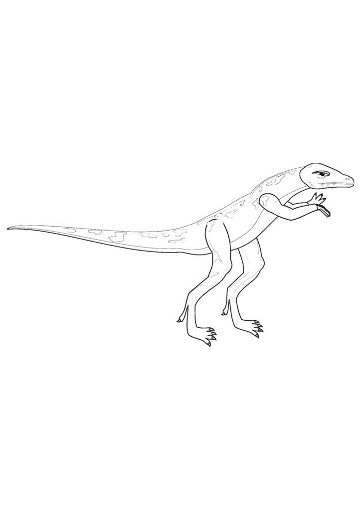 Velociraptor Ausmalbilder