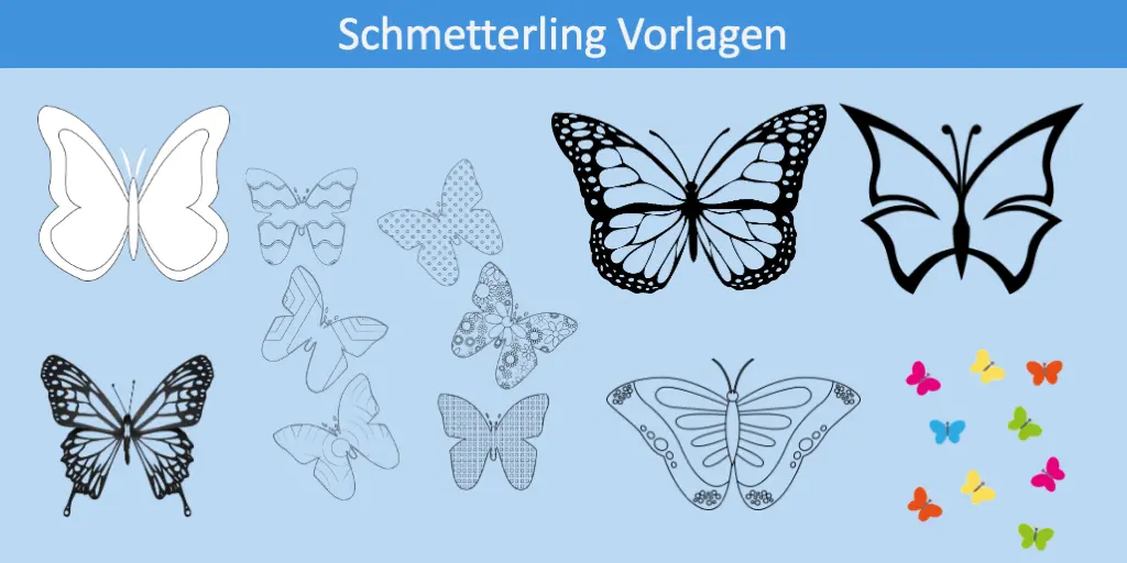 Schmetterling Vorlage